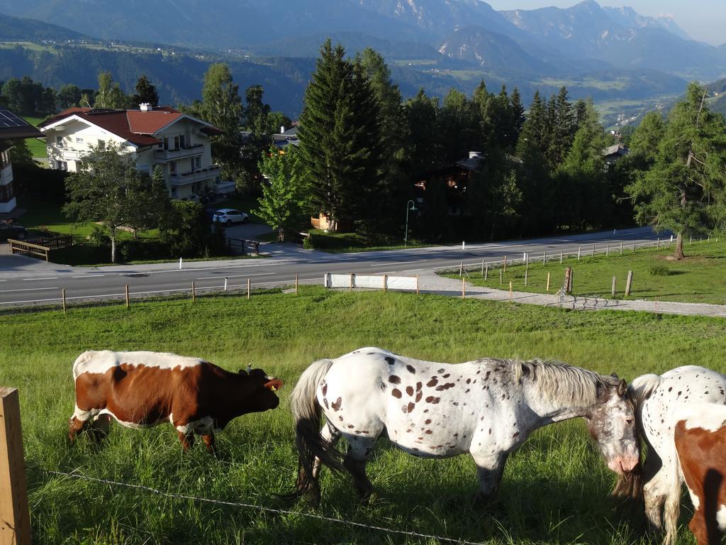 Haus Alpina Ski In & Ski Out Schladming Bagian luar foto