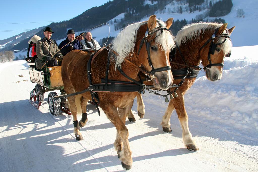 Haus Alpina Ski In & Ski Out Schladming Bagian luar foto